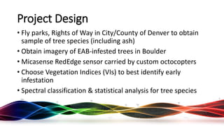 Project Design
• Fly parks, Rights of Way in City/County of Denver to obtain
sample of tree species (including ash)
• Obtain imagery of EAB-infested trees in Boulder
• Micasense RedEdge sensor carried by custom octocopters
• Choose Vegetation Indices (VIs) to best identify early
infestation
• Spectral classification & statistical analysis for tree species
Rocky Mountain UAS Meetup - 16 August 2017
 