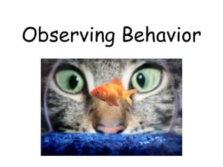 Observing Behavior
 