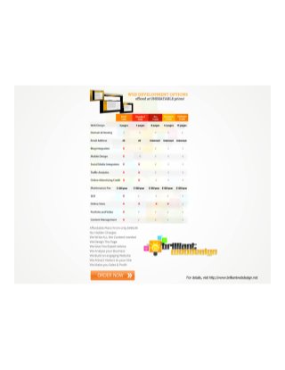 Pricing Packages Offered by Brilliantwebdesign.net