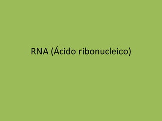 RNA (Ácido ribonucleico) 