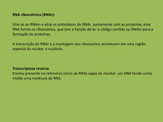 RNA ribossômico (RNAr): Une-se ao RNAm e atrai os anticódons do RNAt. Juntamente com as proteínas, esse RNA forma os ribossomos, que tem a função de ler o código contido no RNAm para a formação de proteínas.  A transcrição do RNAr e a montagem dos ribossomos acontecem em uma região especial do núcleo: o nucléolo.  Transcriptase reversa Enzima presente no retrovírus (vírus de RNA) capaz de montar  um DNA tendo como molde uma molécula de RNA. 