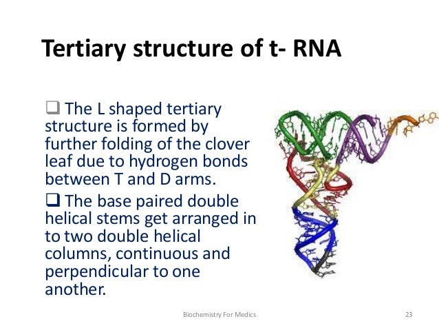 rna structure
