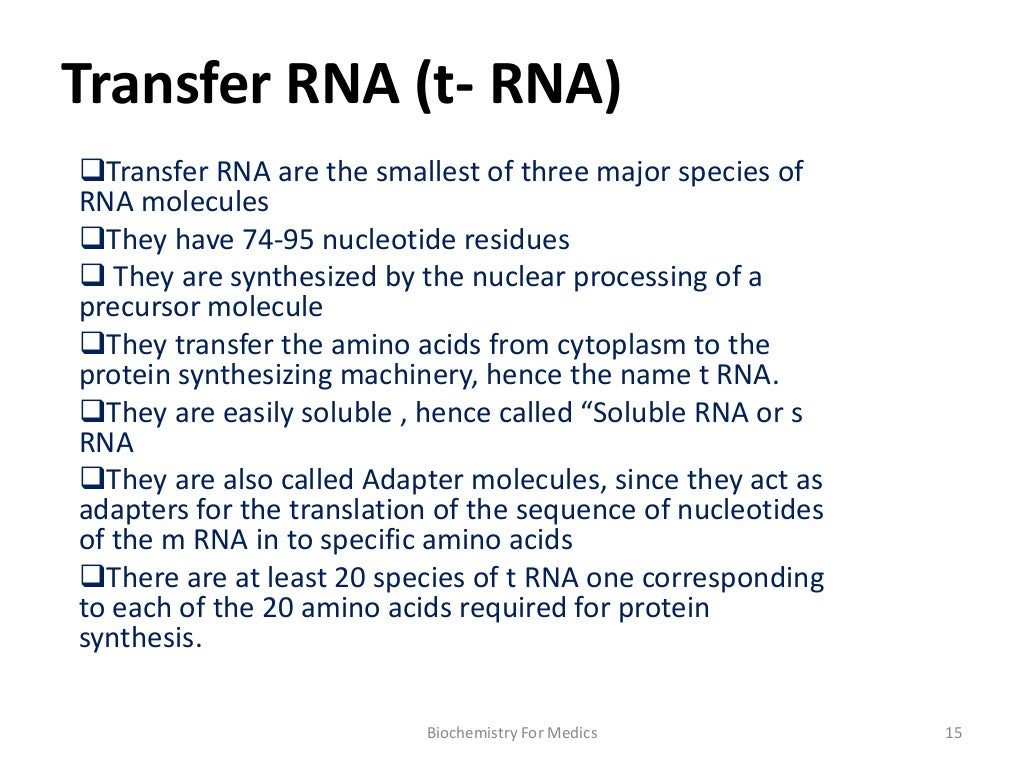 RNA Structure, Types and Functions