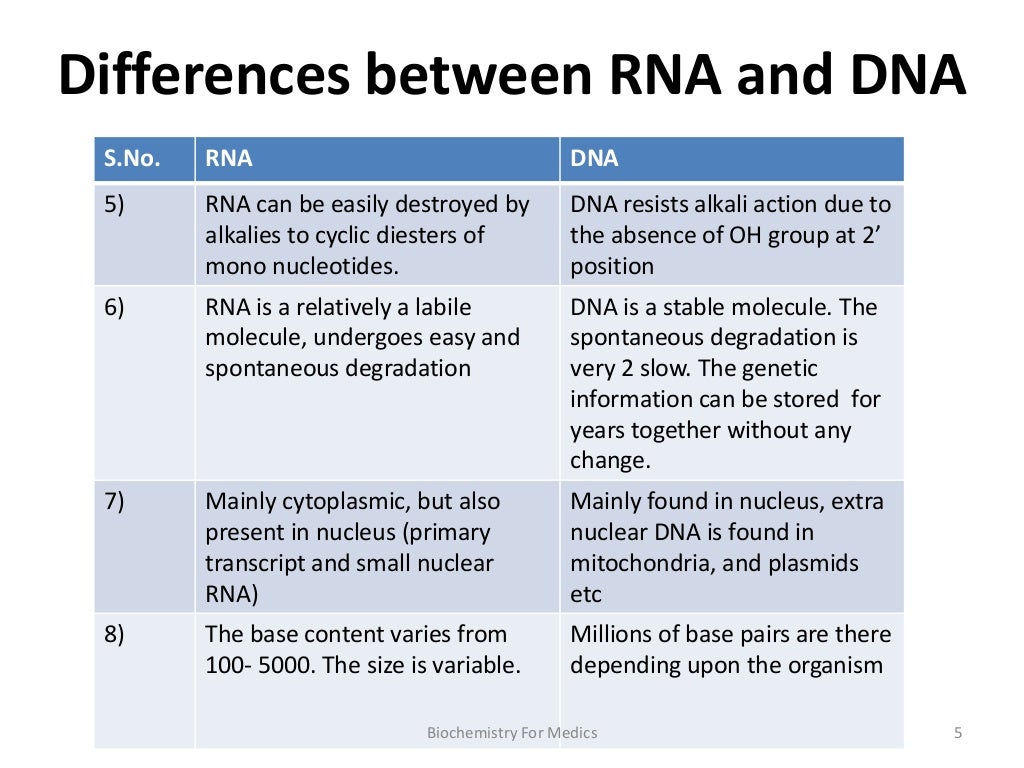 The main difference between. DNA and RNA differences. Difference between DNA and RNA. What is the difference between DNA and RNA. Similarities of DNA and RNA.