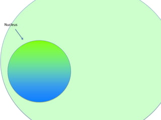 Nucleus

 