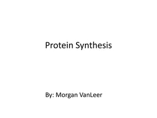 Protein Synthesis

By: Morgan VanLeer

 