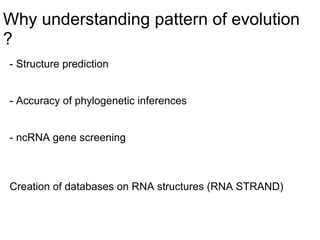 Rna Strand Database Rna | PDF