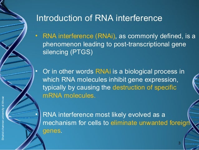 Short Interference Rna Revealing The World Of Rna Interference – Silke Nolden