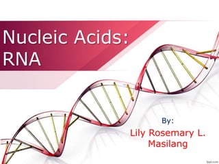Nucleic Acids:
RNA
By:
Lily Rosemary L.
Masilang
 