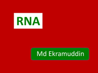 RNA
Md Ekramuddin
 