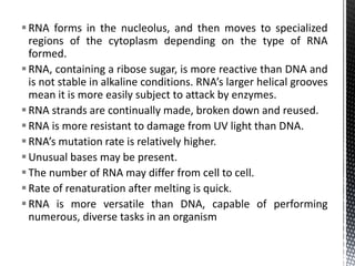 RNA forms in the nucleolus, and then moves to specialized
regions of the cytoplasm depending on the type of RNA
formed.
RNA, containing a ribose sugar, is more reactive than DNA and
is not stable in alkaline conditions. RNA’s larger helical grooves
mean it is more easily subject to attack by enzymes.
RNA strands are continually made, broken down and reused.
RNA is more resistant to damage from UV light than DNA.
RNA’s mutation rate is relatively higher.
Unusual bases may be present.
The number of RNA may differ from cell to cell.
Rate of renaturation after melting is quick.
RNA is more versatile than DNA, capable of performing
numerous, diverse tasks in an organism
 