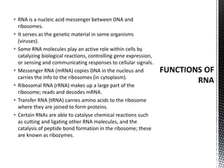  RNA is a nucleic acid messenger between DNA and
ribosomes.
 It serves as the genetic material in some organisms
(viruses).
 Some RNA molecules play an active role within cells by
catalyzing biological reactions, controlling gene expression,
or sensing and communicating responses to cellular signals.
 Messenger RNA (mRNA) copies DNA in the nucleus and
carries the info to the ribosomes (in cytoplasm).
 Ribosomal RNA (rRNA) makes up a large part of the
ribosome; reads and decodes mRNA.
 Transfer RNA (tRNA) carries amino acids to the ribosome
where they are joined to form proteins.
 Certain RNAs are able to catalyse chemical reactions such
as cutting and ligating other RNA molecules, and the
catalysis of peptide bond formation in the ribosome; these
are known as ribozymes.
 