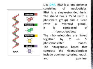 DNA
 