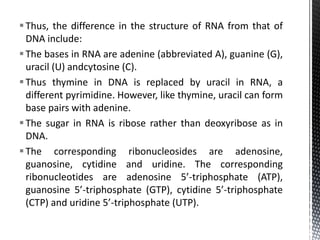 Thus, the difference in the structure of RNA from that of
DNA include:
The bases in RNA are adenine (abbreviated A), guanine (G),
uracil (U) andcytosine (C).
Thus thymine in DNA is replaced by uracil in RNA, a
different pyrimidine. However, like thymine, uracil can form
base pairs with adenine.
The sugar in RNA is ribose rather than deoxyribose as in
DNA.
The corresponding ribonucleosides are adenosine,
guanosine, cytidine and uridine. The corresponding
ribonucleotides are adenosine 5’-triphosphate (ATP),
guanosine 5’-triphosphate (GTP), cytidine 5’-triphosphate
(CTP) and uridine 5’-triphosphate (UTP).
 