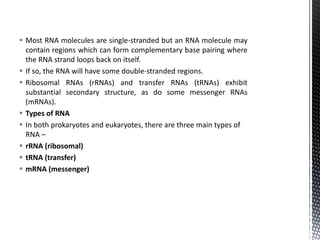 Most RNA molecules are single-stranded but an RNA molecule may
contain regions which can form complementary base pairing where
the RNA strand loops back on itself.
 If so, the RNA will have some double-stranded regions.
 Ribosomal RNAs (rRNAs) and transfer RNAs (tRNAs) exhibit
substantial secondary structure, as do some messenger RNAs
(mRNAs).
 Types of RNA
 In both prokaryotes and eukaryotes, there are three main types of
RNA –
 rRNA (ribosomal)
 tRNA (transfer)
 mRNA (messenger)
 