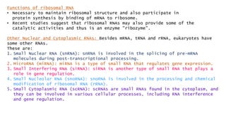Functions of ribosomal RNA
• Necessary to maintain ribosomal structure and also participate in
protein synthesis by binding of mRNA to ribosome.
• Recent studies suggest that ribosomal RNAs may also provide some of the
catalytic activities and thus is an enzyme "ribozyme".
Other Nuclear and Cytoplasmic RNAs: Besides mRNA, tRNA and rRNA, eukaryotes have
some other RNAs.
These are:
1. Small Nuclear RNA (snRNA): snRNA is involved in the splicing of pre-mRNA
molecules during post-transcriptional processing.
2. MicroRNA (miRNA): miRNA is a type of small RNA that regulates gene expression.
3. Small Interfering RNA (siRNA): siRNA is another type of small RNA that plays a
role in gene regulation.
4. Small Nucleolar RNA (snoRNA): snoRNA is involved in the processing and chemical
modification of ribosomal RNA (rRNA).
5. Small Cytoplasmic RNA (scRNA): scRNAs are small RNAs found in the cytoplasm, and
they can be involved in various cellular processes, including RNA interference
and gene regulation.
 