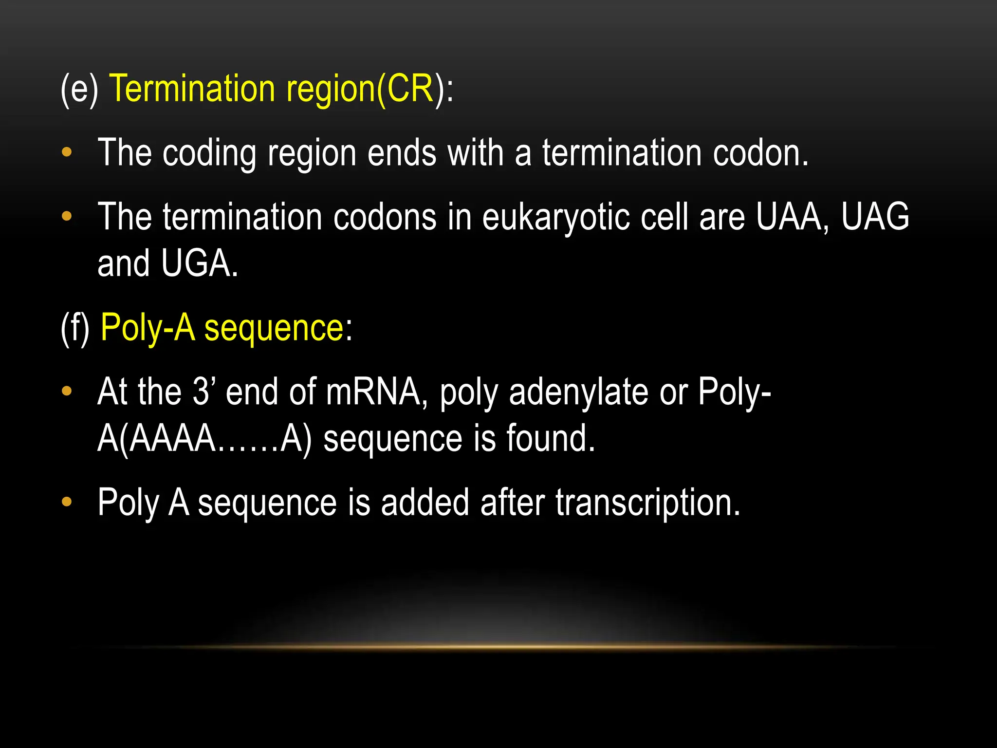 (e) Termination region(CR):
• The coding region ends with a termination codon.
• The termination codons in eukaryotic cell are UAA, UAG
and UGA.
(f) Poly-A sequence:
• At the 3’ end of mRNA, poly adenylate or Poly-
A(AAAA……A) sequence is found.
• Poly A sequence is added after transcription.
 