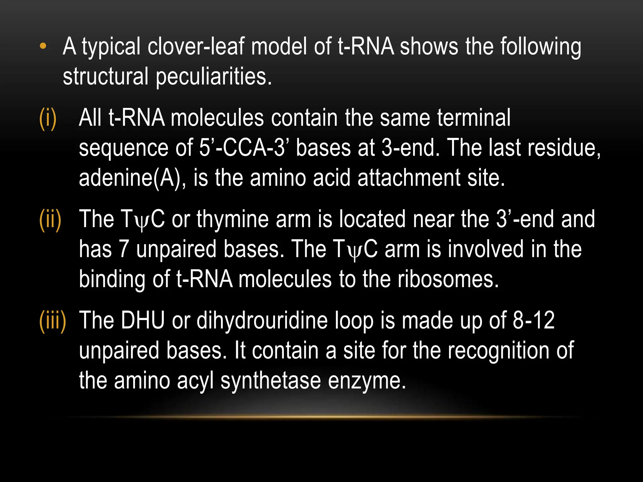 • A typical clover-leaf model of t-RNA shows the following
structural peculiarities.
(i) All t-RNA molecules contain the same terminal
sequence of 5’-CCA-3’ bases at 3-end. The last residue,
adenine(A), is the amino acid attachment site.
(ii) The TC or thymine arm is located near the 3’-end and
has 7 unpaired bases. The TC arm is involved in the
binding of t-RNA molecules to the ribosomes.
(iii) The DHU or dihydrouridine loop is made up of 8-12
unpaired bases. It contain a site for the recognition of
the amino acyl synthetase enzyme.
 