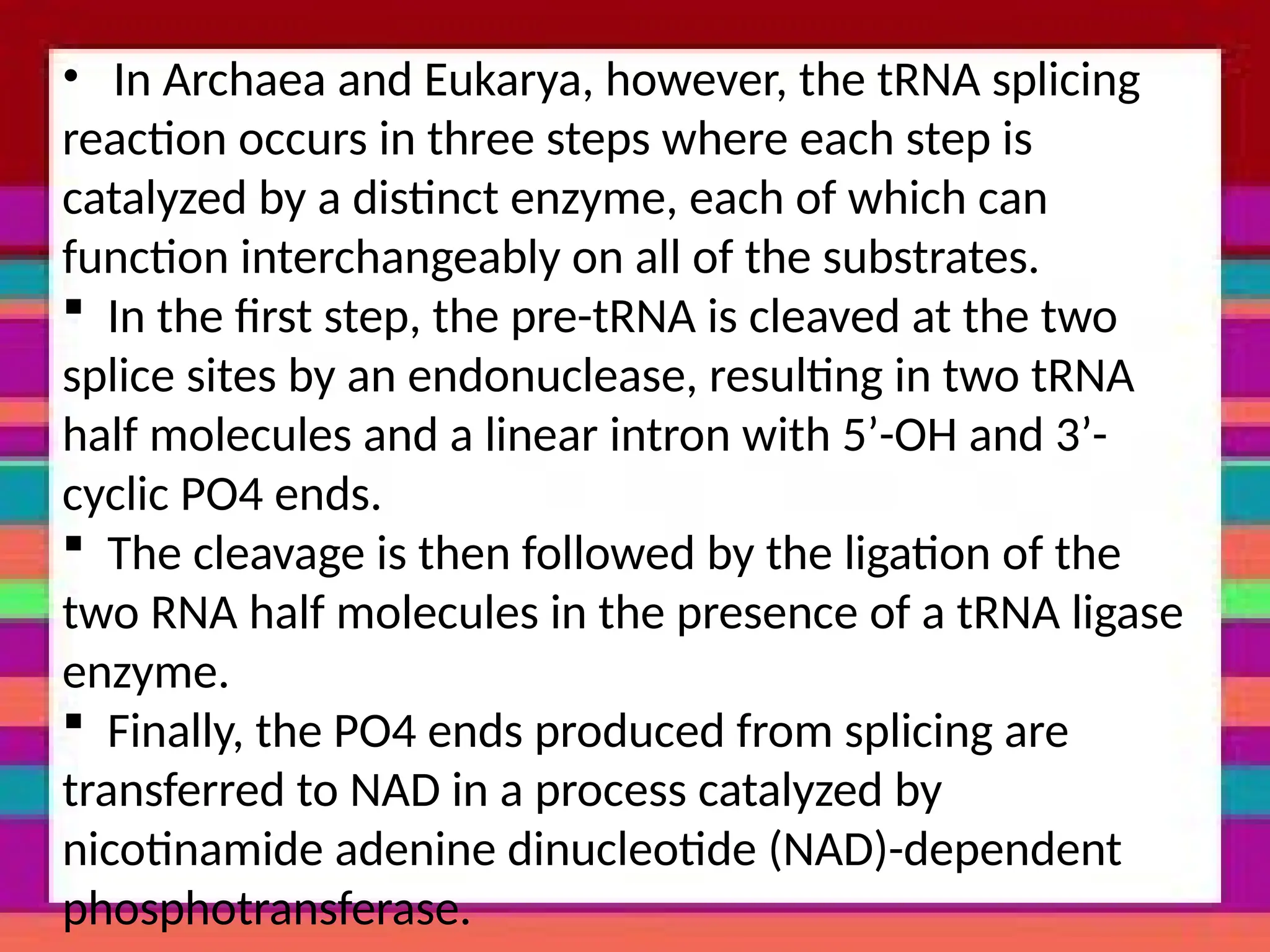 • In Archaea and Eukarya, however, the tRNA splicing
reaction occurs in three steps where each step is
catalyzed by a distinct enzyme, each of which can
function interchangeably on all of the substrates.
 In the first step, the pre-tRNA is cleaved at the two
splice sites by an endonuclease, resulting in two tRNA
half molecules and a linear intron with 5’-OH and 3’-
cyclic PO4 ends.
 The cleavage is then followed by the ligation of the
two RNA half molecules in the presence of a tRNA ligase
enzyme.
 Finally, the PO4 ends produced from splicing are
transferred to NAD in a process catalyzed by
nicotinamide adenine dinucleotide (NAD)-dependent
phosphotransferase.
 