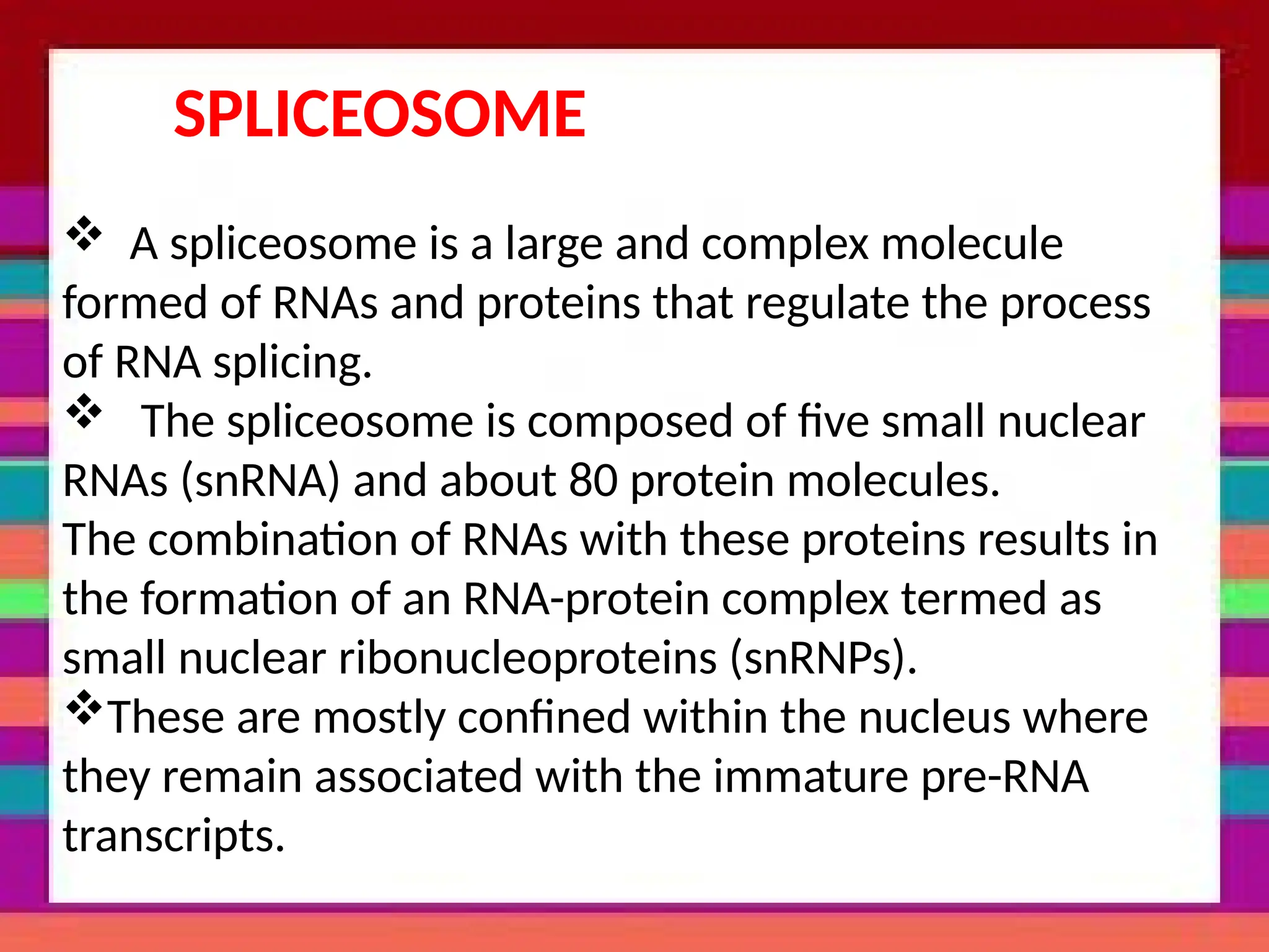 SPLICEOSOME
 A spliceosome is a large and complex molecule
formed of RNAs and proteins that regulate the process
of RNA splicing.
 The spliceosome is composed of five small nuclear
RNAs (snRNA) and about 80 protein molecules.
The combination of RNAs with these proteins results in
the formation of an RNA-protein complex termed as
small nuclear ribonucleoproteins (snRNPs).
These are mostly confined within the nucleus where
they remain associated with the immature pre-RNA
transcripts.
 
