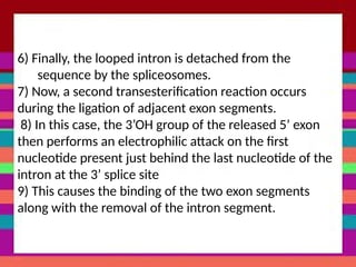 6) Finally, the looped intron is detached from the
sequence by the spliceosomes.
7) Now, a second transesterification reaction occurs
during the ligation of adjacent exon segments.
8) In this case, the 3’OH group of the released 5’ exon
then performs an electrophilic attack on the first
nucleotide present just behind the last nucleotide of the
intron at the 3’ splice site
9) This causes the binding of the two exon segments
along with the removal of the intron segment.
 