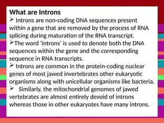 What are Introns
 Introns are non-coding DNA sequences present
within a gene that are removed by the process of RNA
splicing during maturation of the RNA transcript.
The word ‘introns’ is used to denote both the DNA
sequences within the gene and the corresponding
sequence in RNA transcripts.
 Introns are common in the protein-coding nuclear
genes of most jawed invertebrates other eukaryotic
organisms along with unicellular organisms like bacteria.
 Similarly, the mitochondrial genomes of jawed
vertebrates are almost entirely devoid of introns
whereas those in other eukaryotes have many introns.
 