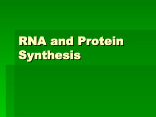 RNA and Protein Synthesis 