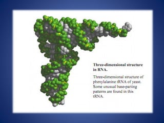 Structure of RNA. To teach Ist year medical students. | PPT