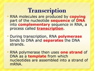 RNA-PowerPoint.......................ppt