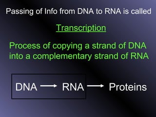 Passing of Info from DNA to RNA is called
Process of copying a strand of DNA
into a complementary strand of RNA
Transcription
DNA RNA Proteins
 