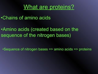 What are proteins?
•Chains of amino acids
•Amino acids (created based on the
sequence of the nitrogen bases)
•Sequence of nitrogen bases => amino acids => proteins
 