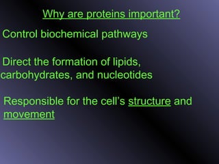Why are proteins important?
. Control biochemical pathways
. Direct the formation of lipids,
carbohydrates, and nucleotides
. Responsible for the cell’s structure and
movement
 