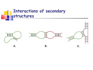 Rna secondary structure prediction | PPT