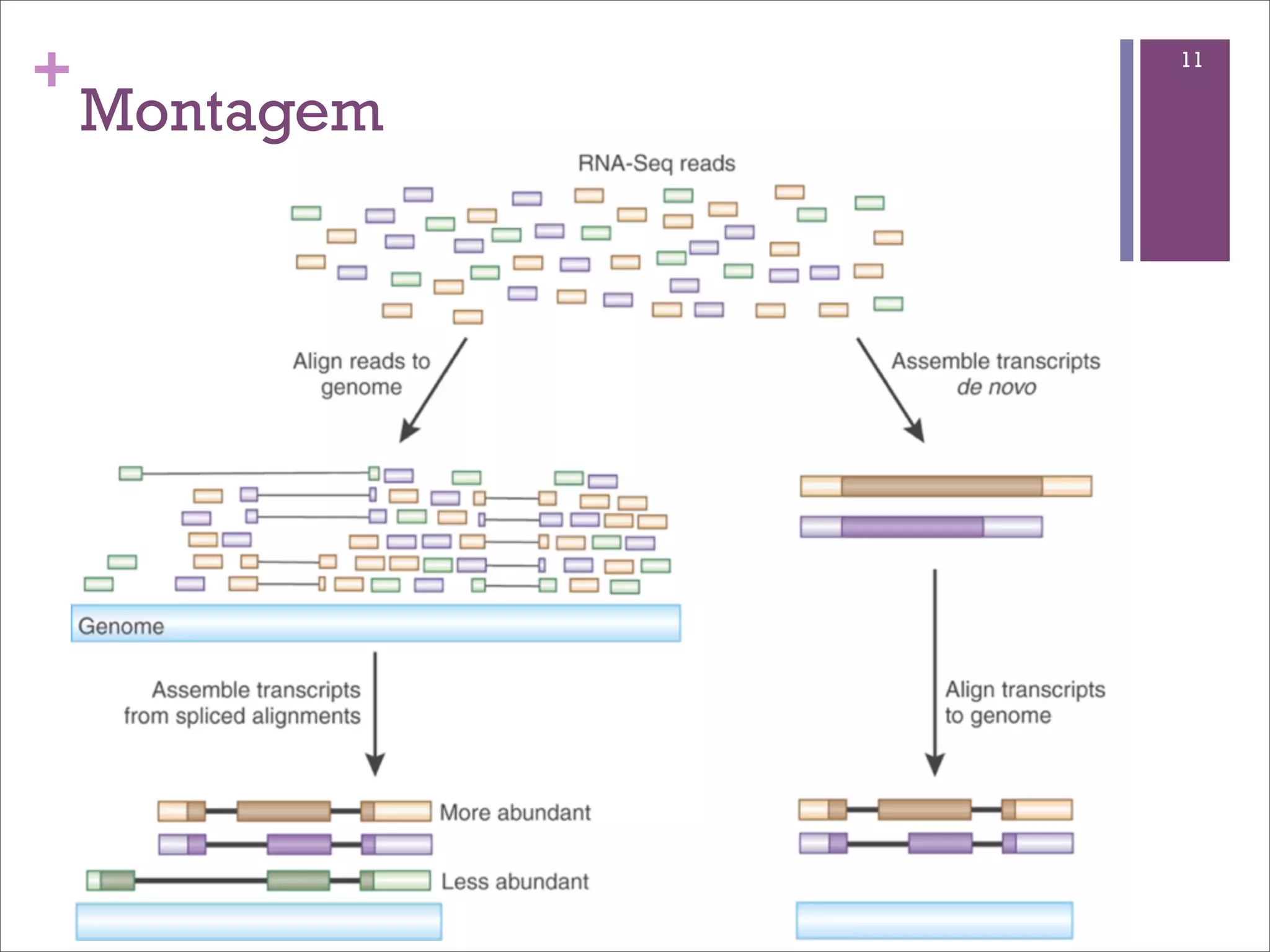 +              11

    Montagem
 