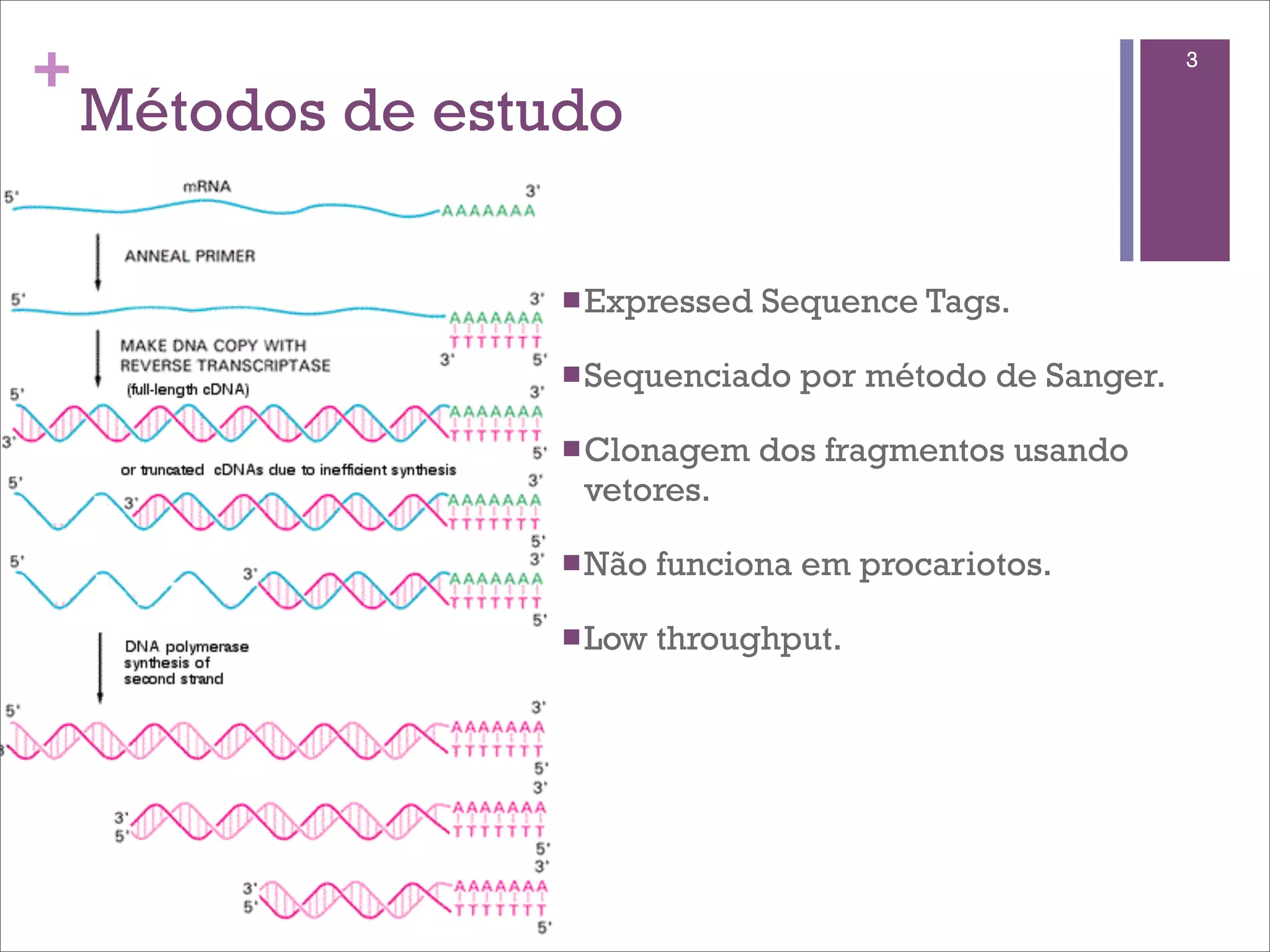 +                                                           3

    Métodos de estudo

                   n Expressed   Sequence Tags.

                   n Sequenciado   por método de Sanger.

                   n Clonagem    dos fragmentos usando
                    vetores.

                   n Não   funciona em procariotos.

                   n Low   throughput.
 