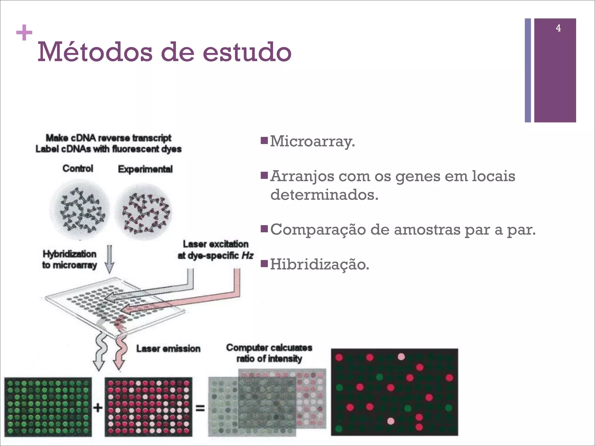 +                                                             4

    Métodos de estudo

                  n Microarray.

                  n Arranjos
                           com os genes em locais
                   determinados.

                  n Comparação      de amostras par a par.

                  n Hibridização.
 