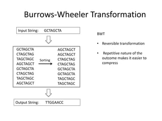 RNASeq - Analysis Pipeline for Differential Expression | PPTX