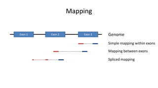 RNA-Seq_analysis_course(2).pptx