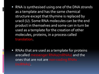  RNA is synthesised using one of the DNA strands
as a template and has the same chemical
structure except that thymine is replaced by
uracil (U). Some RNA molecules can be the end
product in themselves and some can in turn be
used as a template for the creation of other
molecules, proteins, in a process called
translation.
 RNAs that are used as a template for proteins
arecalled messenger RNAs(mRNAs) and the
ones that are not are non-coding RNAs
(ncRNAs).
 