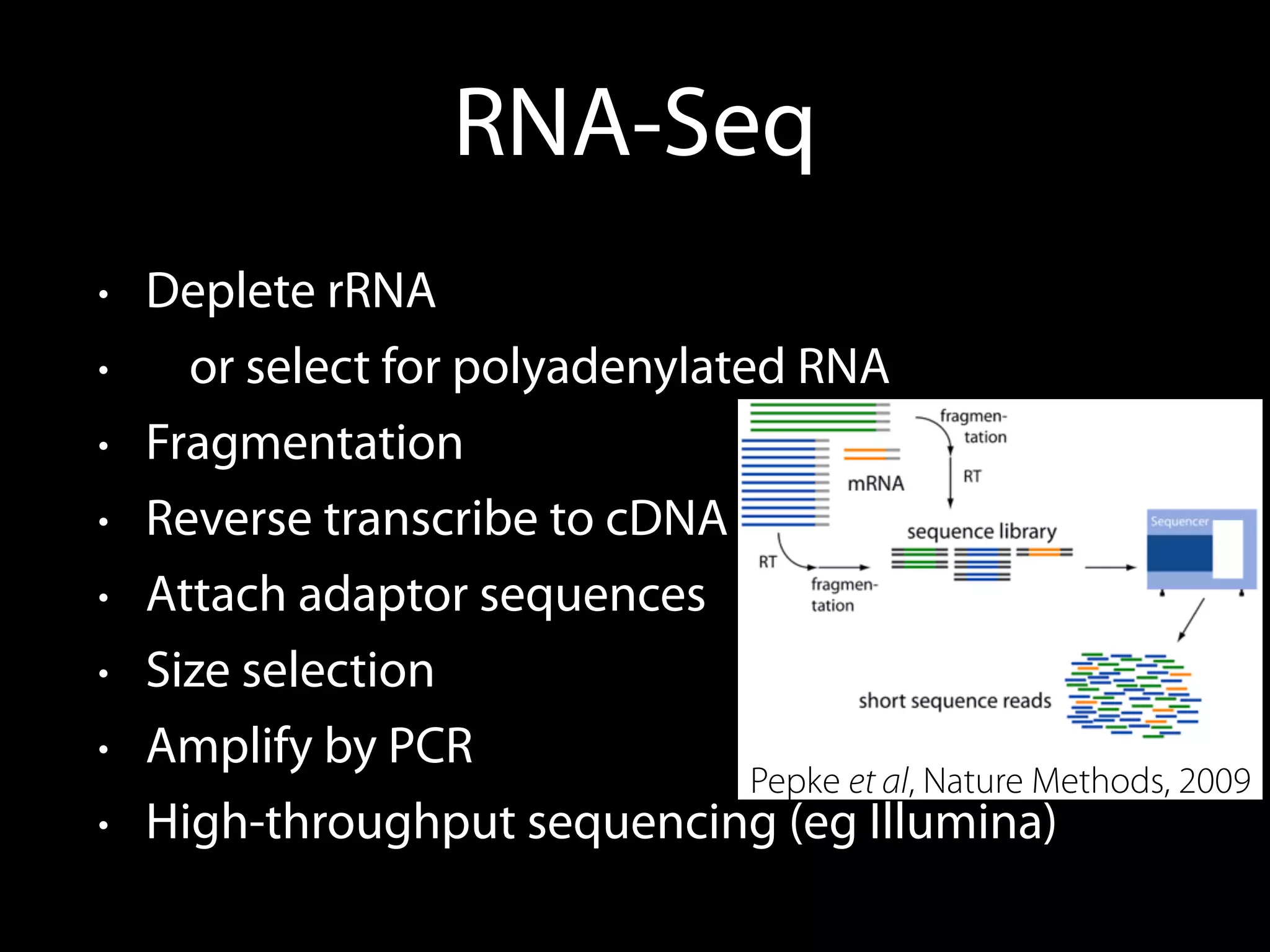 RNA-Seq
• Deplete rRNA
• or select for polyadenylated RNA
• Fragmentation
• Reverse transcribe to cDNA
• Attach adaptor sequences
• Size selection
• Amplify by PCR
• High-throughput sequencing (eg Illumina)
Pepke et al, Nature Methods, 2009
 