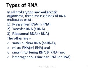 RNA-structure.pdfshjsjsjsjsiskskksksksisksks | PDF