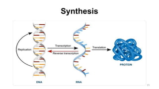 Synthesis
15
 