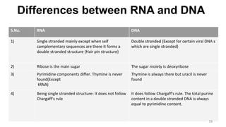 Differences between RNA and DNA
S.No. RNA DNA
1) Single stranded mainly except when self
complementary sequences are there it forms a
double stranded structure (Hair pin structure)
Double stranded (Except for certain viral DNA s
which are single stranded)
2) Ribose is the main sugar The sugar moiety is deoxyribose
3) Pyrimidine components differ. Thymine is never
found(Except
tRNA)
Thymine is always there but uracil is never
found
4) Being single stranded structure- It does not follow
Chargaff’s rule
It does follow Chargaff's rule. The total purine
content in a double stranded DNA is always
equal to pyrimidine content.
16
 