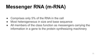 Messenger RNA (m-RNA)
● Comprises only 5% of the RNA in the cell
● Most heterogeneous in size and base sequence
● All members of the class function as messengers carrying the
information in a gene to the protein synthesizing machinery
21
 
