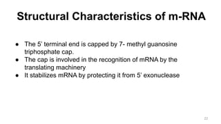 Structural Characteristics of m-RNA
● The 5’ terminal end is capped by 7- methyl guanosine
triphosphate cap.
● The cap is involved in the recognition of mRNA by the
translating machinery
● It stabilizes mRNA by protecting it from 5’ exonuclease
22
 