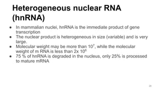 Heterogeneous nuclear RNA
(hnRNA)
● In mammalian nuclei, hnRNA is the immediate product of gene
transcription
● The nuclear product is heterogeneous in size (variable) and is very
large.
● Molecular weight may be more than 107
, while the molecular
weight of m RNA is less than 2x 106
● 75 % of hnRNA is degraded in the nucleus, only 25% is processed
to mature mRNA
28
 