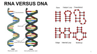 RNA VERSUS DNA
3
 