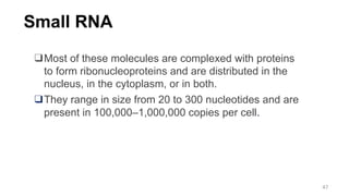 Small RNA
❑Most of these molecules are complexed with proteins
to form ribonucleoproteins and are distributed in the
nucleus, in the cytoplasm, or in both.
❑They range in size from 20 to 300 nucleotides and are
present in 100,000–1,000,000 copies per cell.
47
 