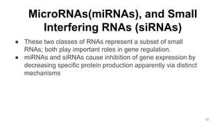 MicroRNAs(miRNAs), and Small
Interfering RNAs (siRNAs)
● These two classes of RNAs represent a subset of small
RNAs; both play important roles in gene regulation.
● miRNAs and siRNAs cause inhibition of gene expression by
decreasing specific protein production apparently via distinct
mechanisms
50
 