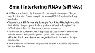 Small Interfering RNAs (siRNAs)
● siRNAs are derived by the specific nucleolytic cleavage of larger,
double-stranded RNAs to again form small 21–25 nucleotide-long
products.
●These short siRNAs usually form perfect RNA-RNA hybrids with
their distinct targets potentially anywhere within the length of the
mRNA where the complementary sequence exists.
● Formation of such RNA-RNA duplexes between siRNA and mRNA
results in reduced specific protein production because the
siRNA-mRNA complexes are degraded by dedicated nucleolytic
machinery;
● Some or all of this mRNA degradation occurs in specific organelles
termed P bodies.
53
 